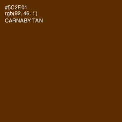 #5C2E01 - Carnaby Tan Color Image